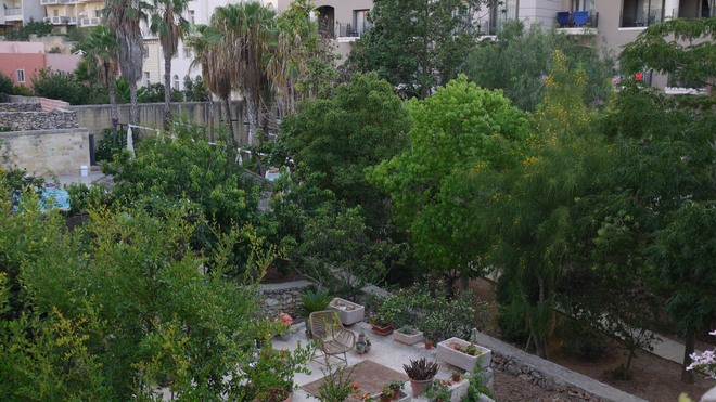Der Garten des Maritim Hotels in der Triq Adenau in Mellieħa
