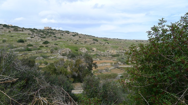 Blick auf Selmun Palace in Mellieħa